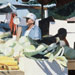 Cabbage, Squash, and Leeks